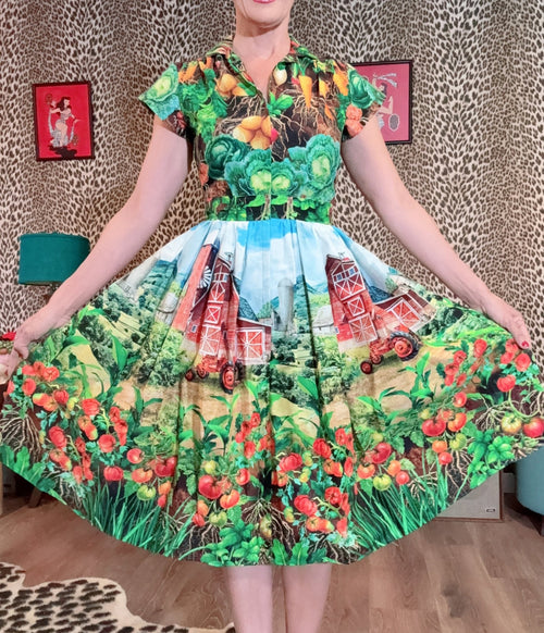 Bernie Dexter Multicolor Farm Harvest Print Swing Dress