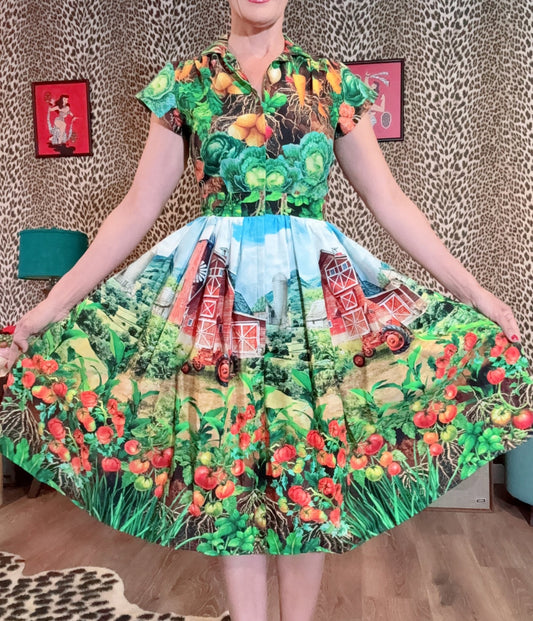 Bernie Dexter Multicolor Farm Harvest Print Swing Dress